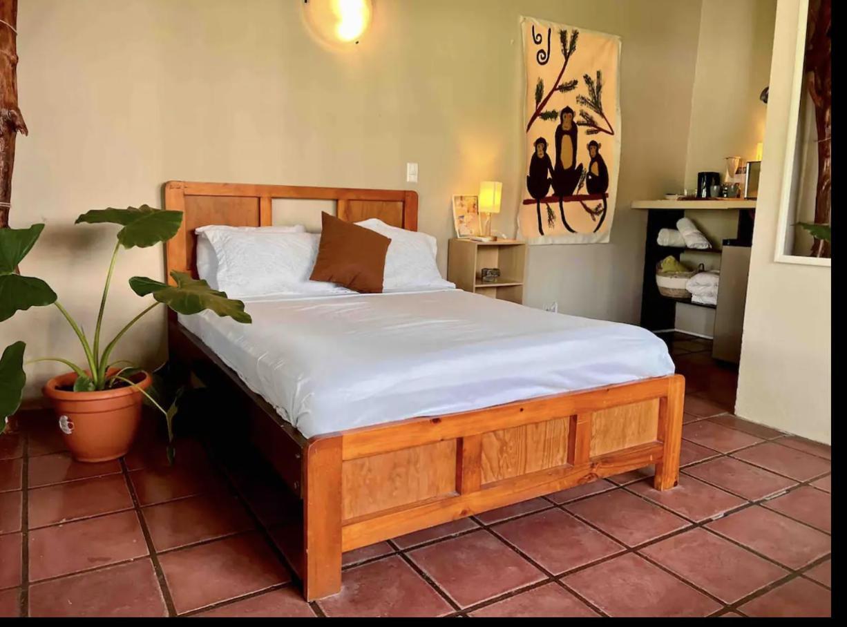 Mizaru Ocean View Hotel Manuel Antonio Quepos Exterior photo