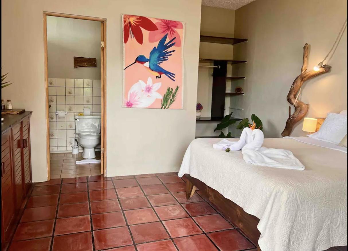 Mizaru Ocean View Hotel Manuel Antonio Quepos Exterior photo