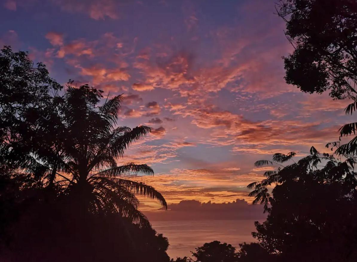 Mizaru Ocean View Hotel Manuel Antonio Quepos Exterior photo